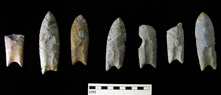 Clovis Points