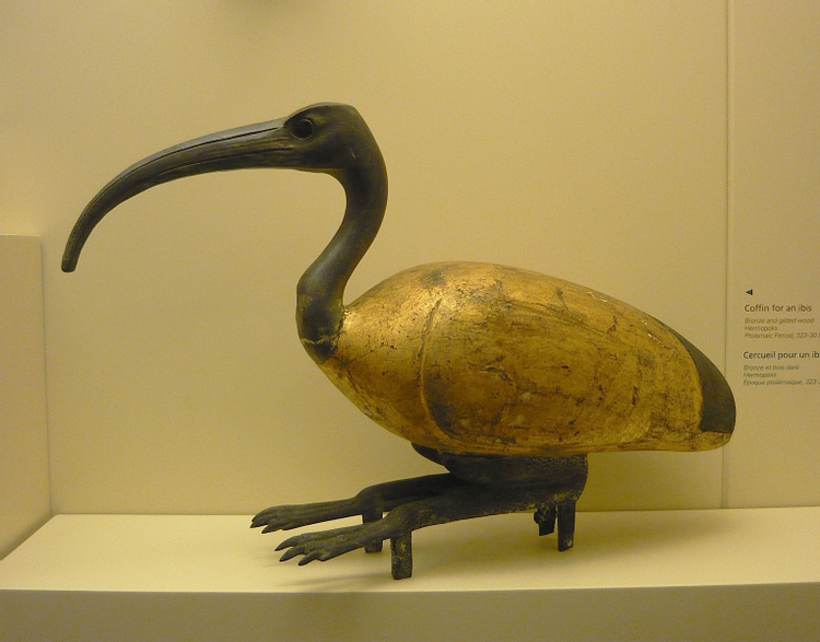 Ibis Coffin from Ancient Egypt