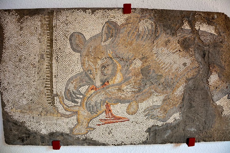 Bear Hunting a Lamb, Byzantine Mosaic