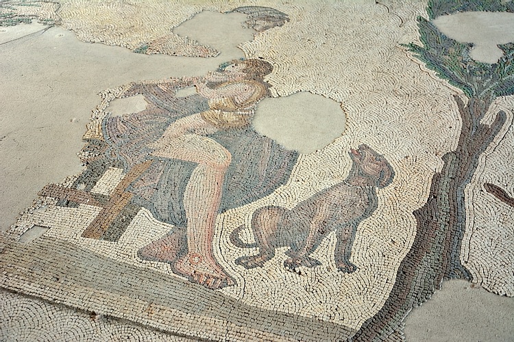 Mother & Dog, Byzantine Mosaic