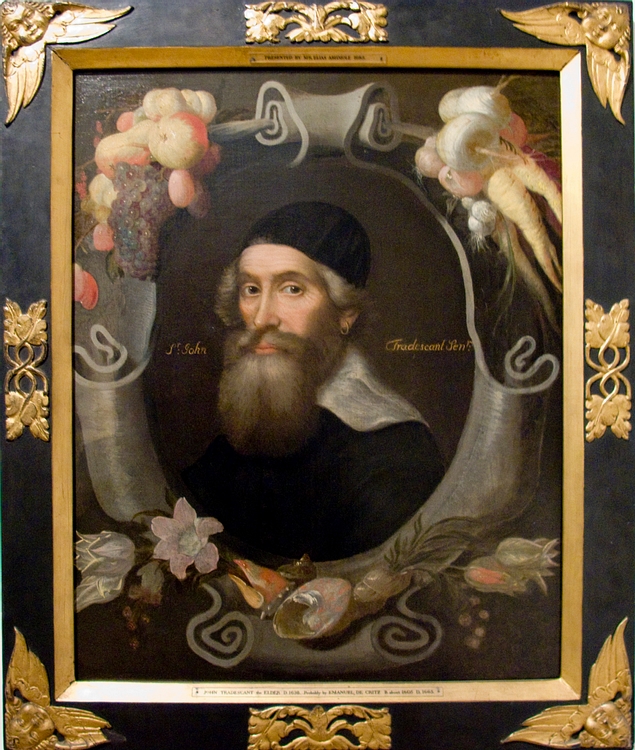 John Tradescant