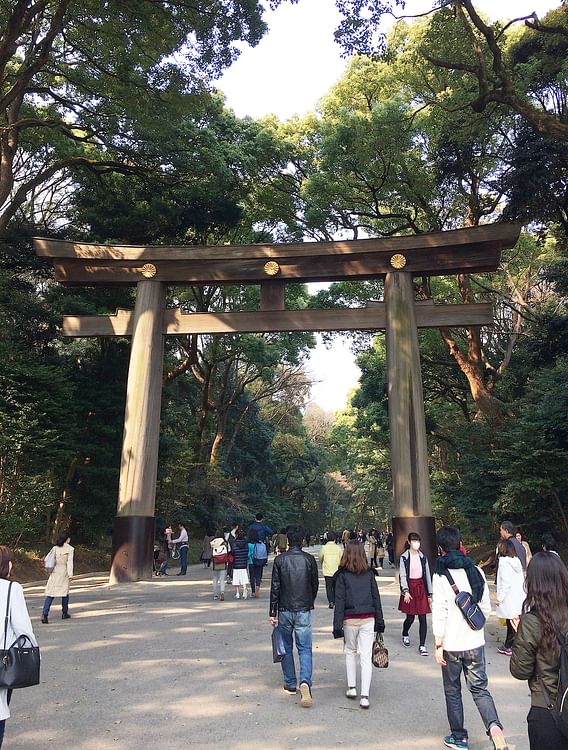 Torii Gate at Meiji Jingu Shrine in Tokyo