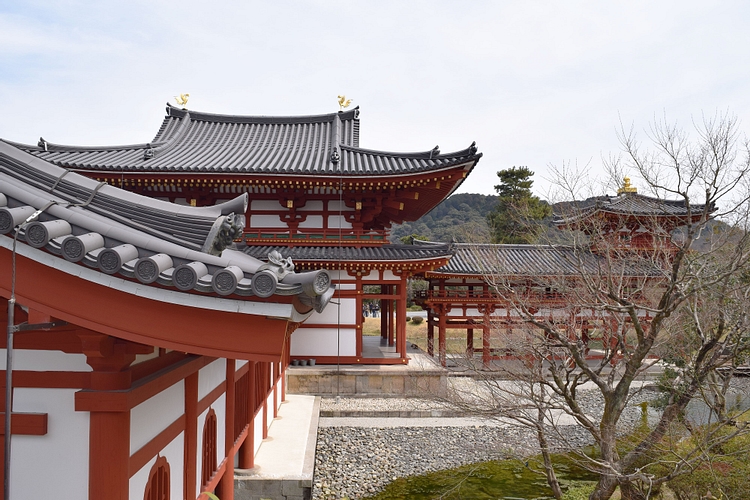 Byodoin Temple in Uji, Japan
