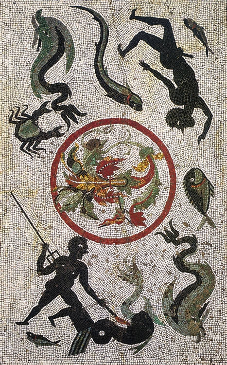 Pompeii Fishing Mosaic