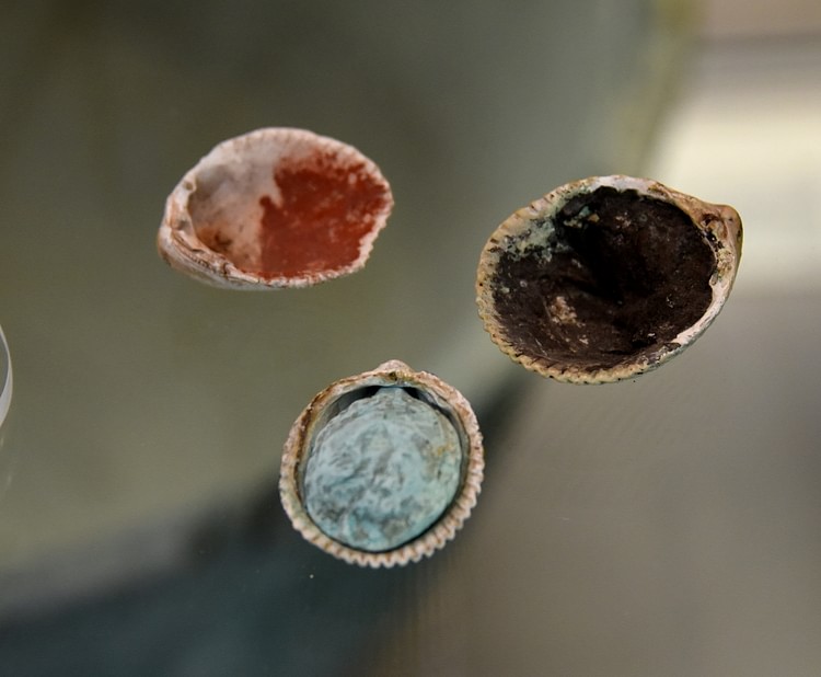 Shells Containing Cosmetic Pigments from Ur (Illustration) - World ...