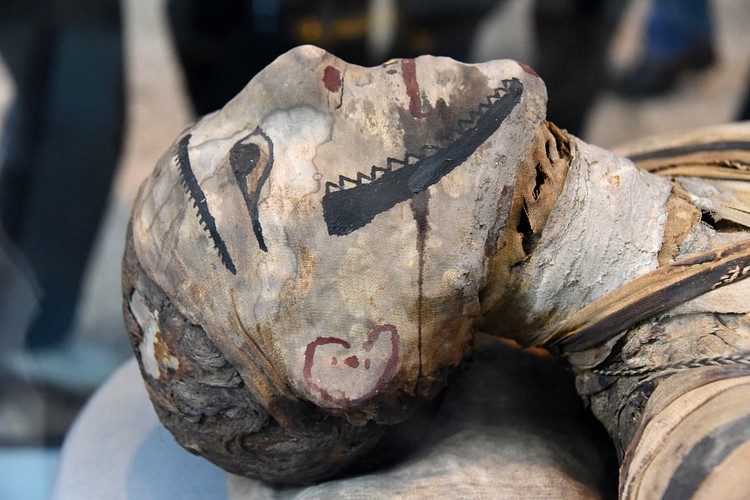 Head of a Mummy from Ptolemaic-Roman Egypt