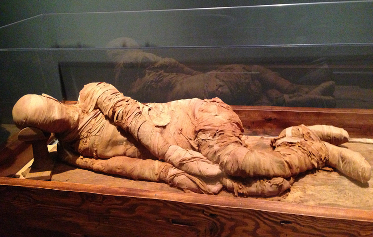 Egyptian Mummy