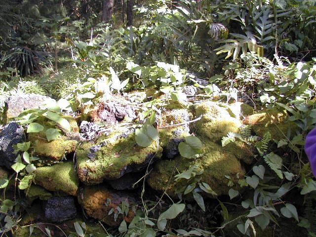 Kukii Heiau Wall, Hawaii