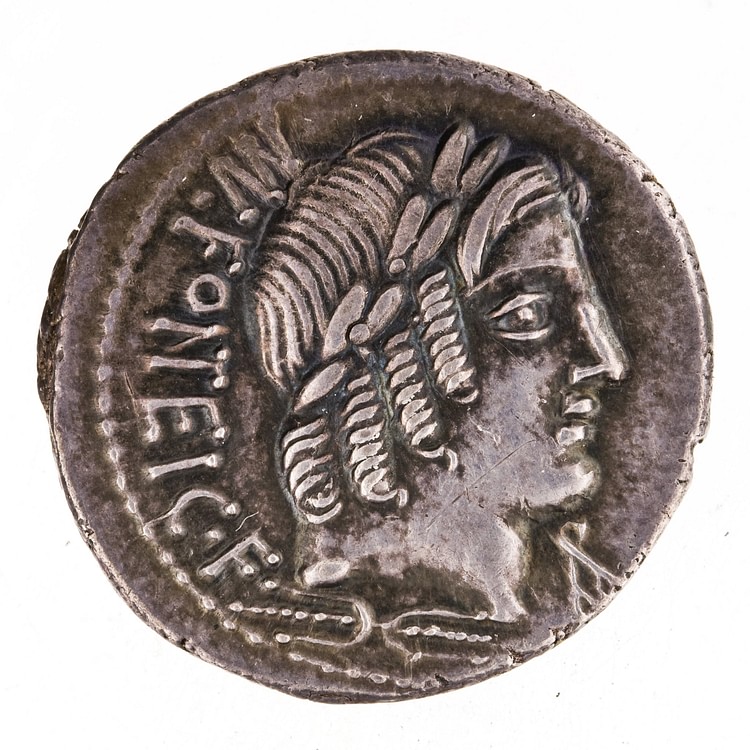 Denarius of Manius Fonteius, 85 BCE