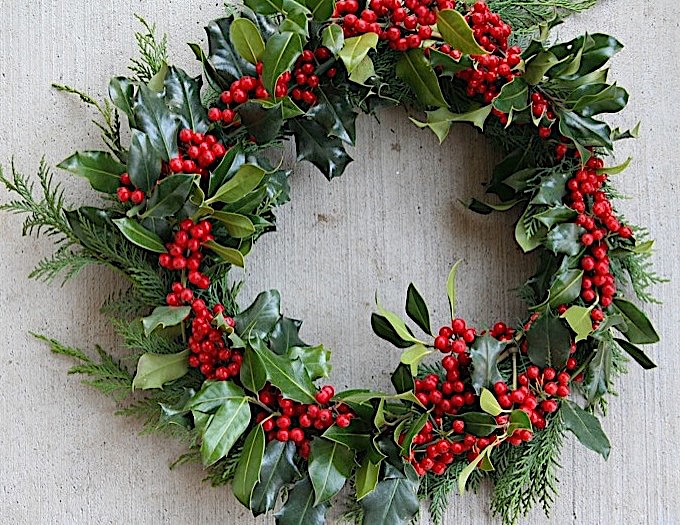 Traditional Holly Wreath