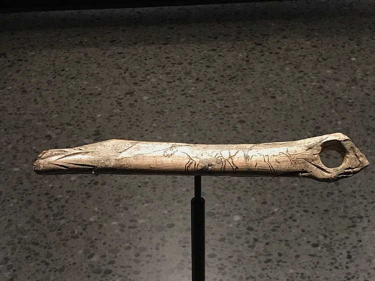 Prehistoric Carving of Horses on Bone