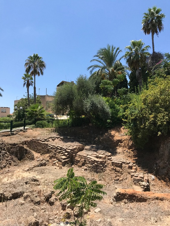 Lion Temple of Jaffa