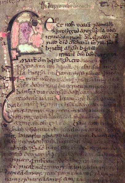 Page from the Book of Leinster