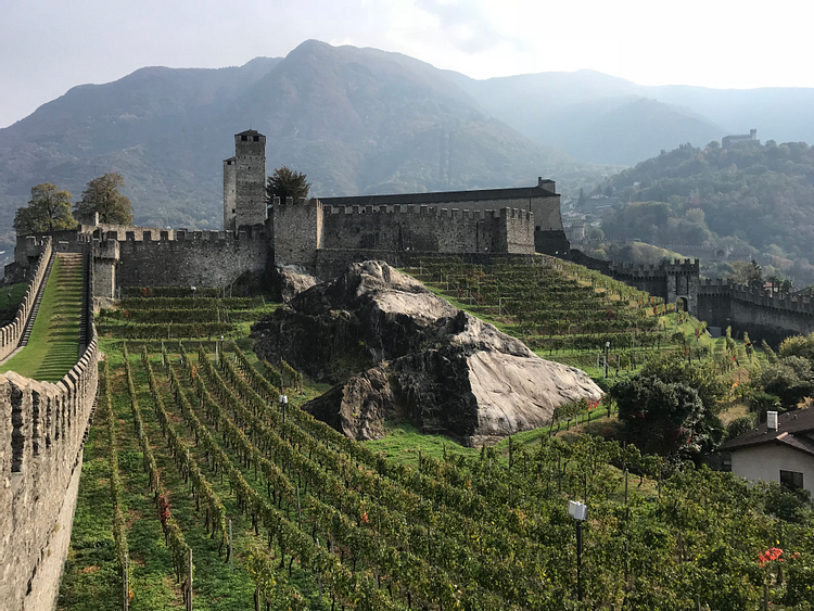 View of Castelgrande's Vineyard in Bellinzona