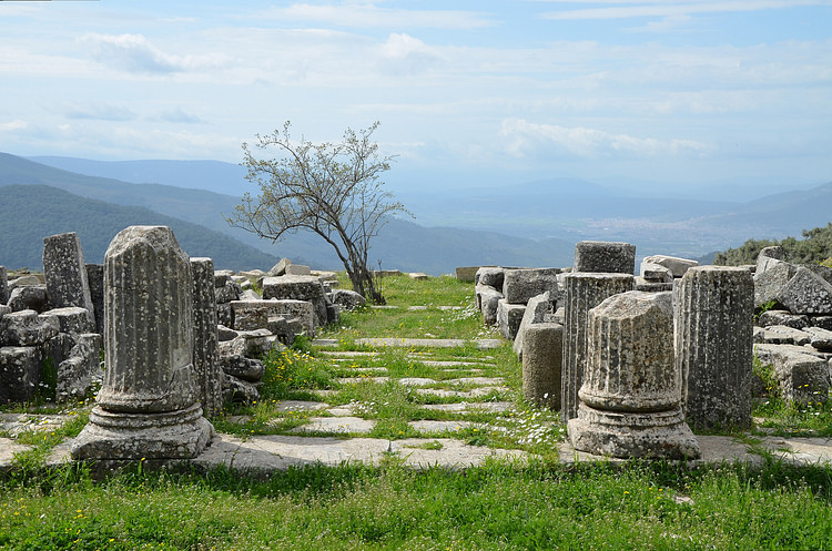 The Sanctuary of Zeus Labraundos