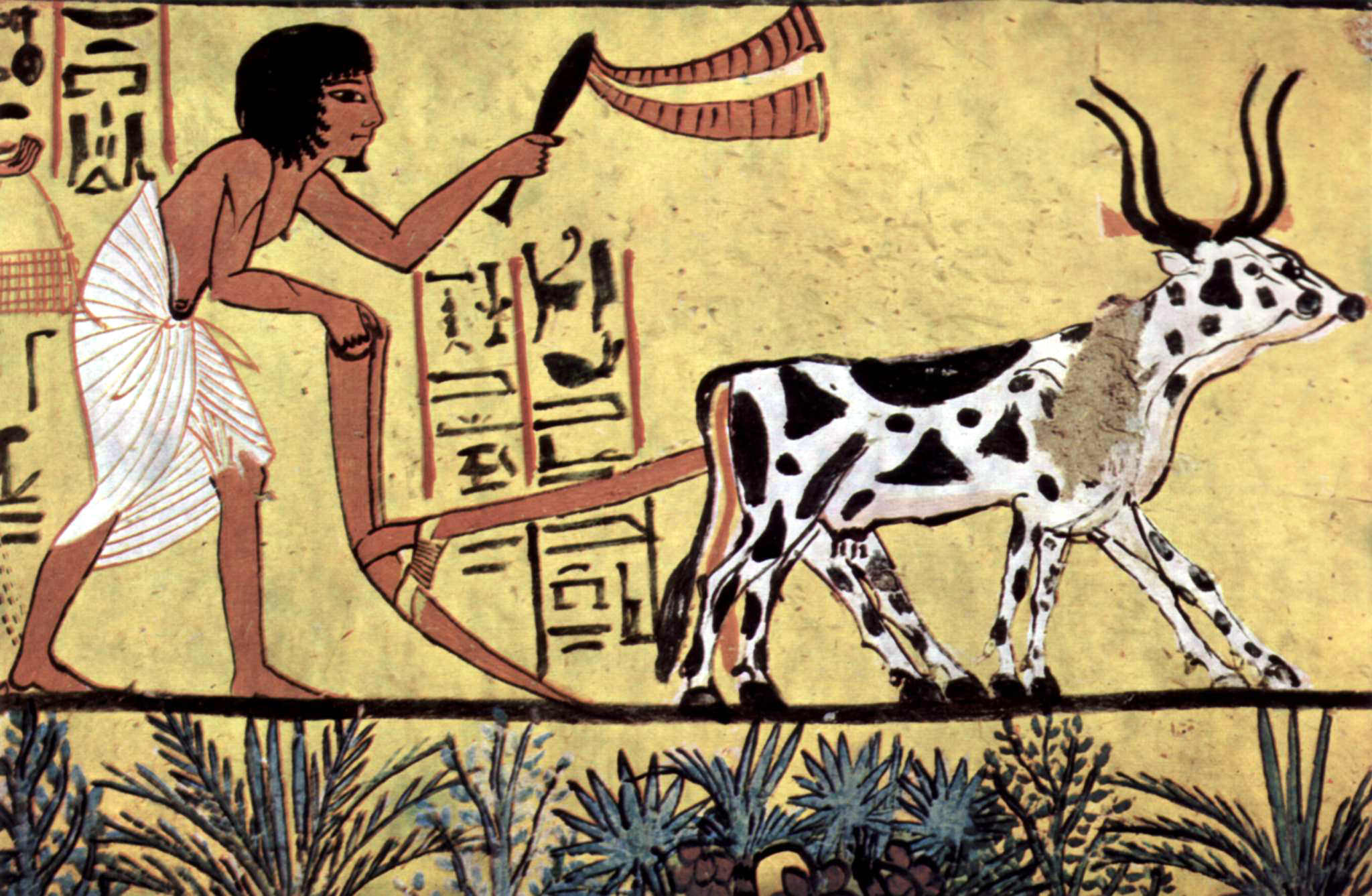 Plowing Egyptian Farmer Illustration World History Encyclopedia plowing-egyptian-farmer-illustration-world-history-encyclopedia