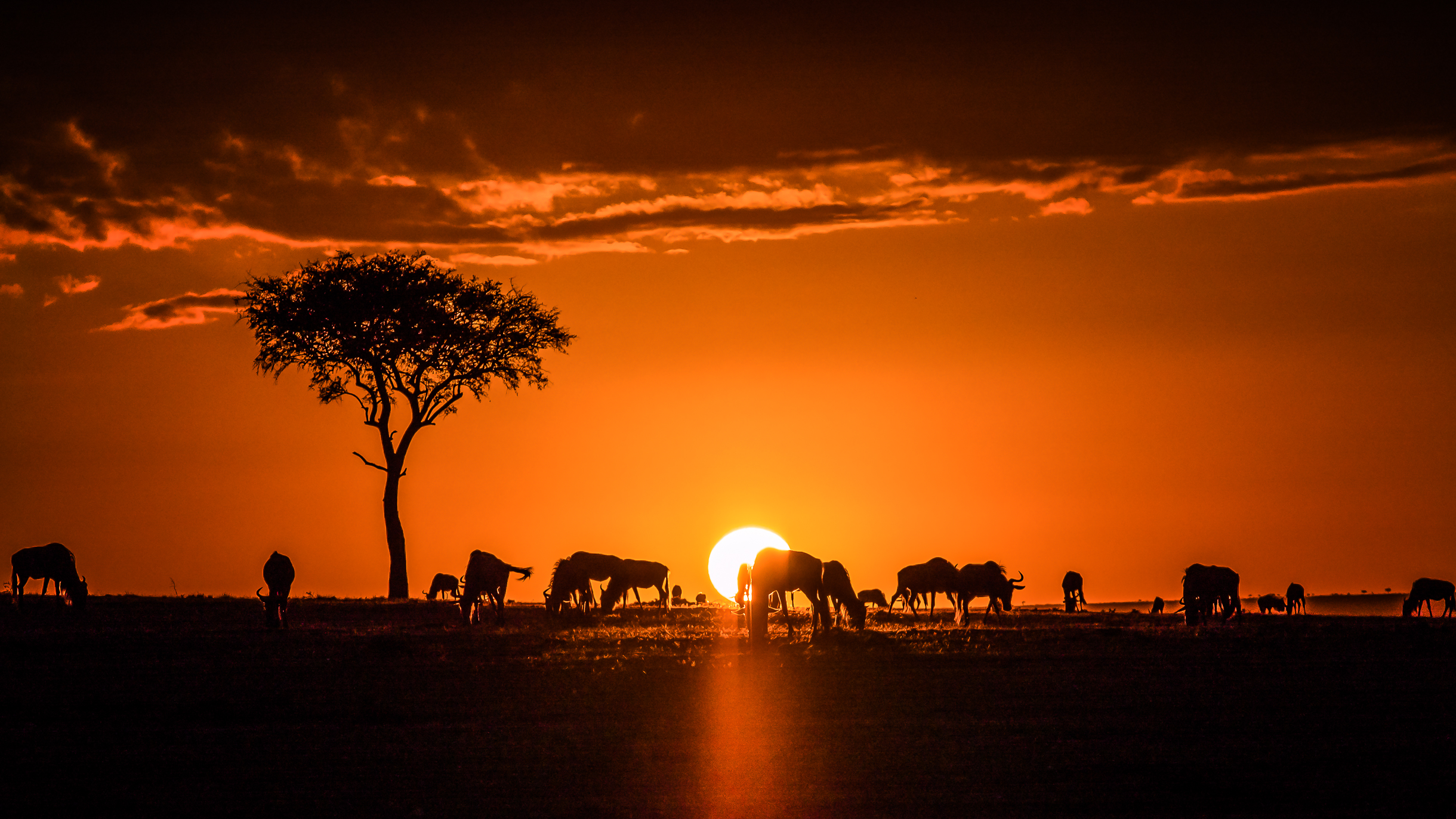 Sunrise In The Maasai Mara Illustration World History Encyclopedia sunrise-in-the-maasai-mara-illustration-world-history-encyclopedia