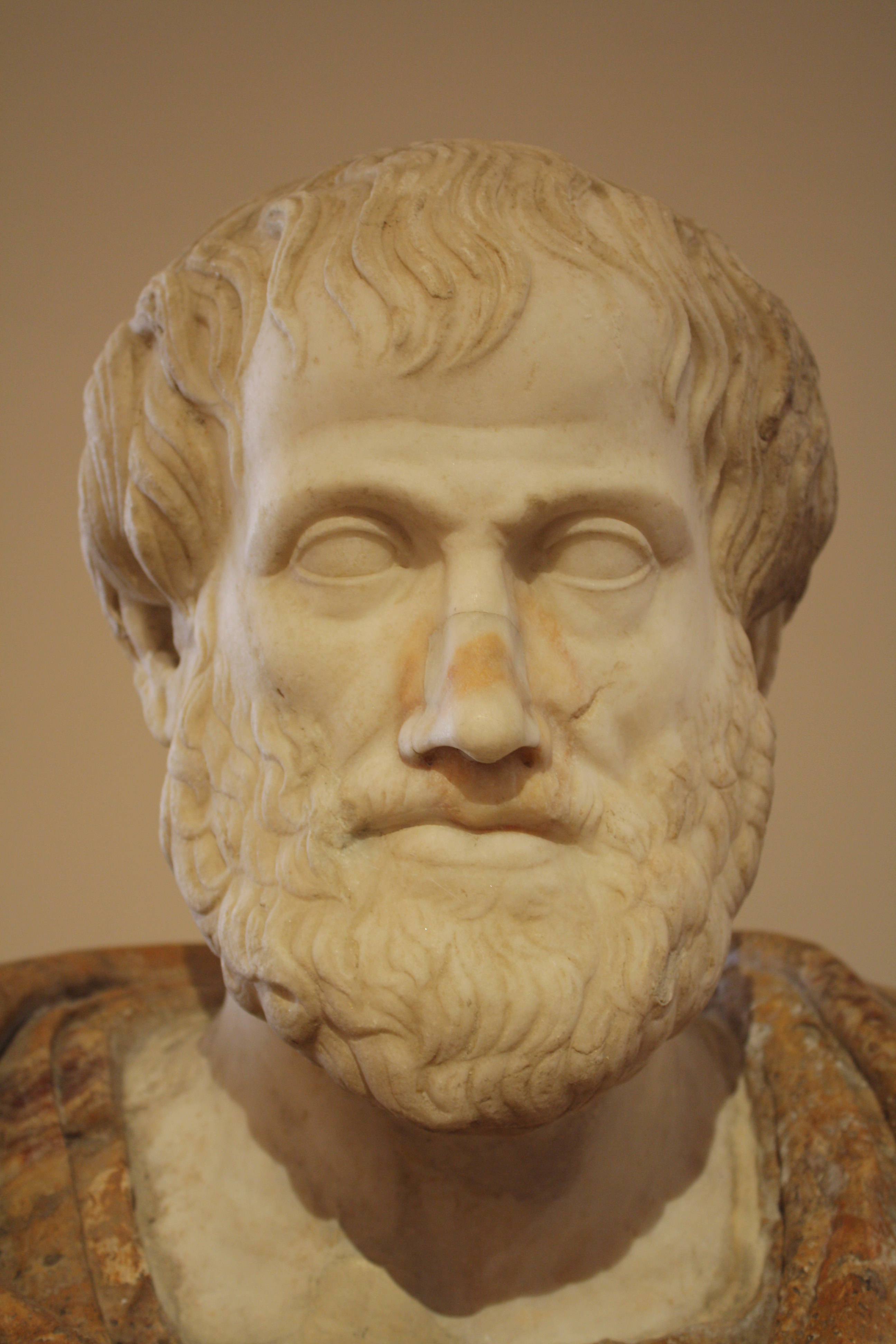 Aristotle Bust by Lisippo (Illustration) - World History Encyclopedia