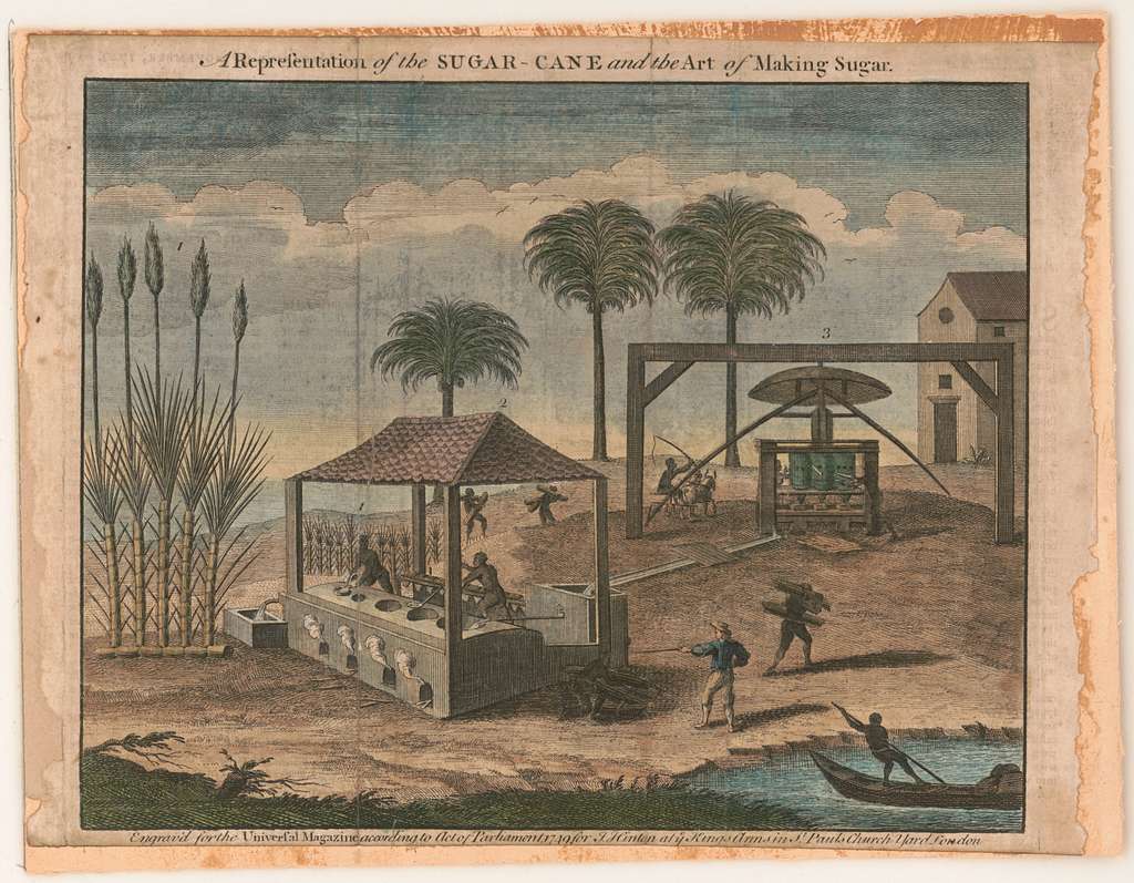 Colonial Sugar Cane Manufacturing (Illustration) - World History ...
