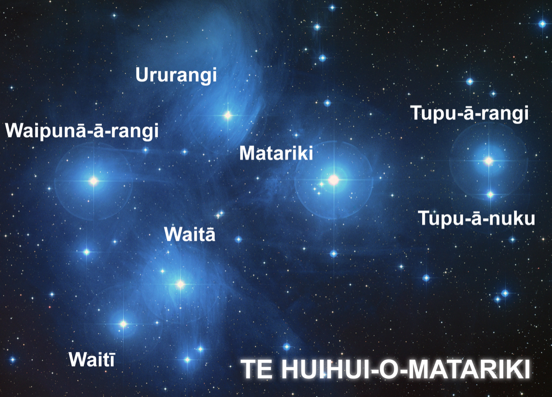 Matariki Star Cluster (Illustration) - World History Encyclopedia