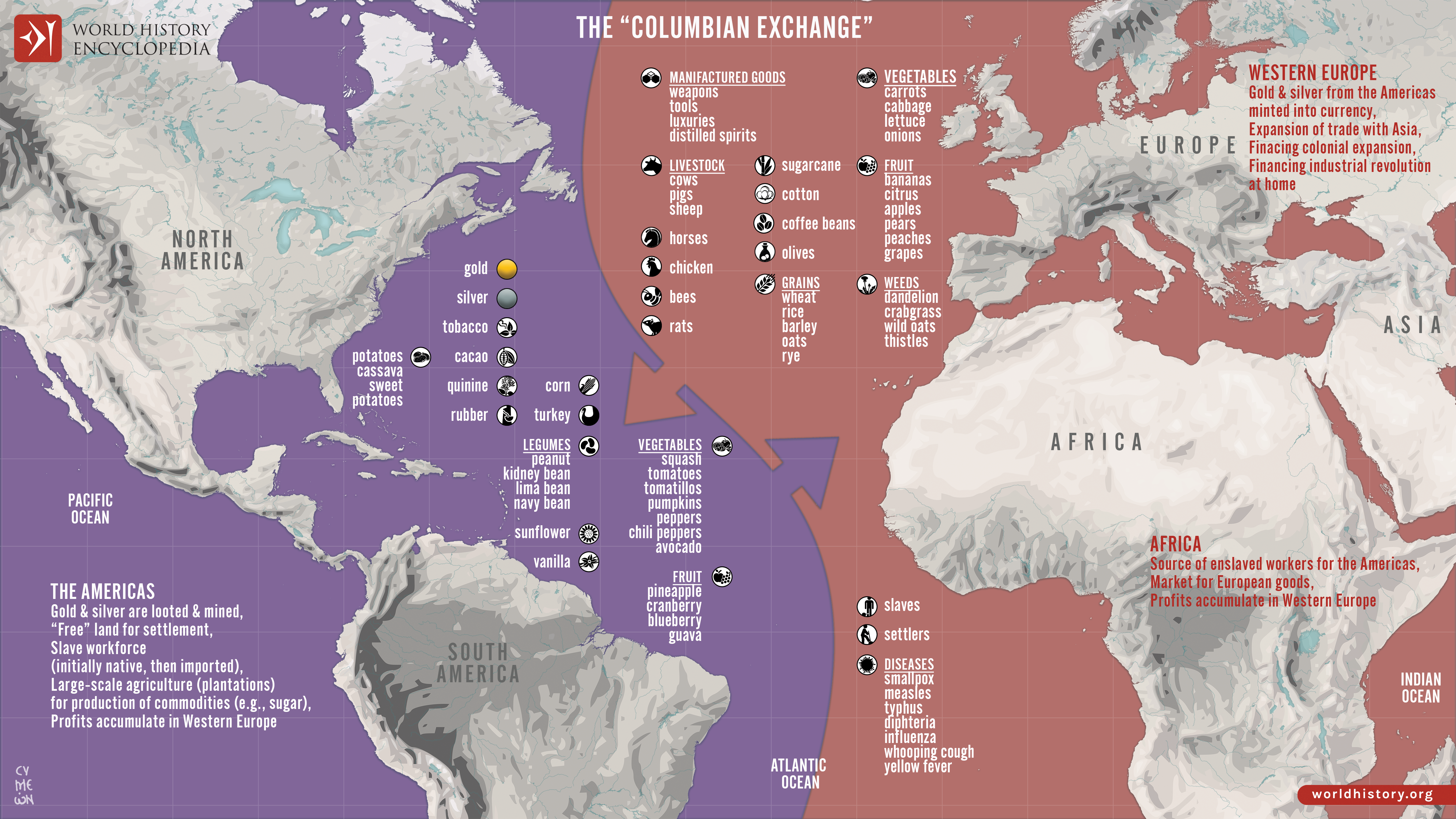 Exploros Answers Exploros | The Columbian Exchange
