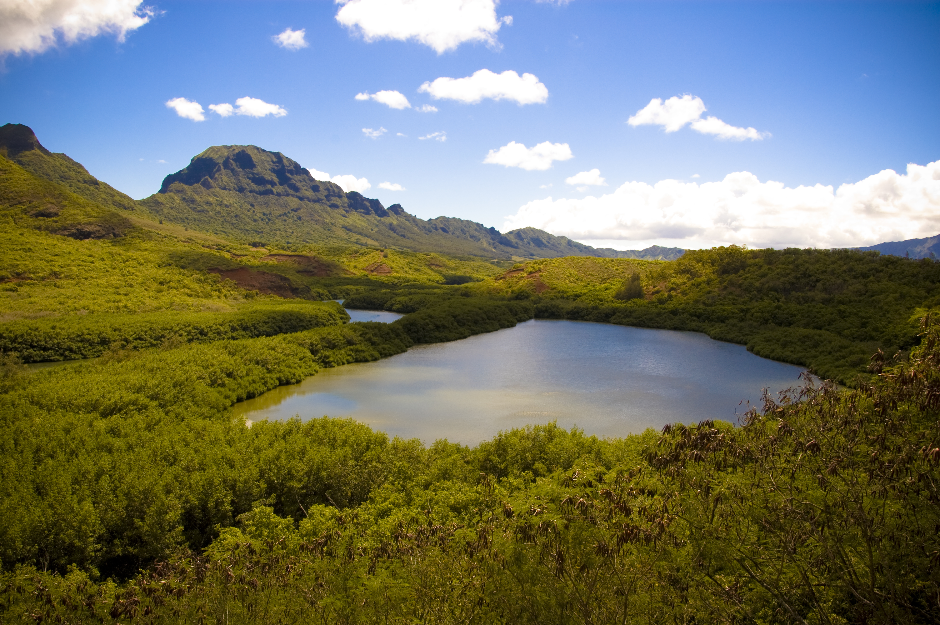 Alekoko Menehune Fishpond (Illustration) - World History Encyclopedia