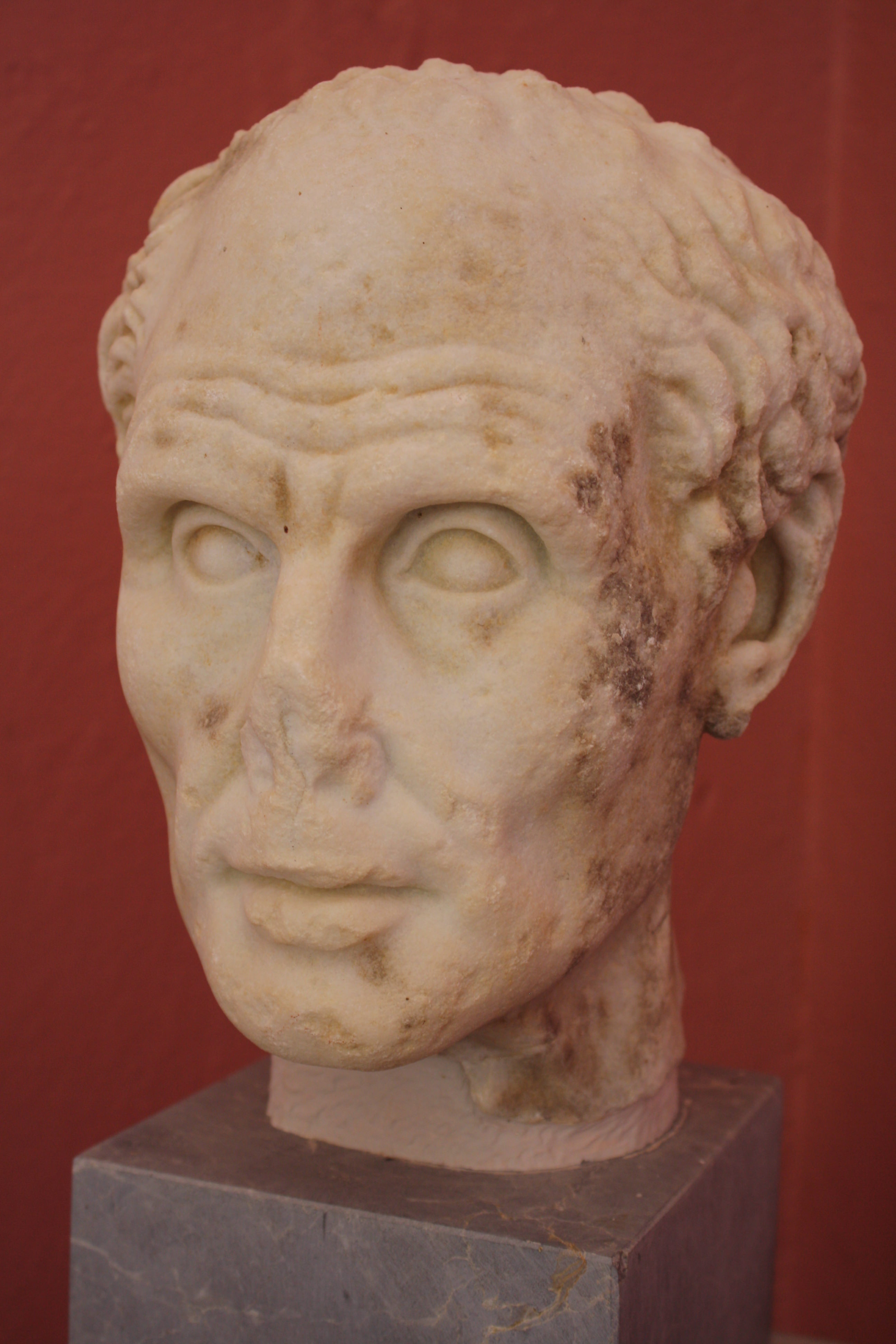 Roman Bust Portrait Lesson Plan