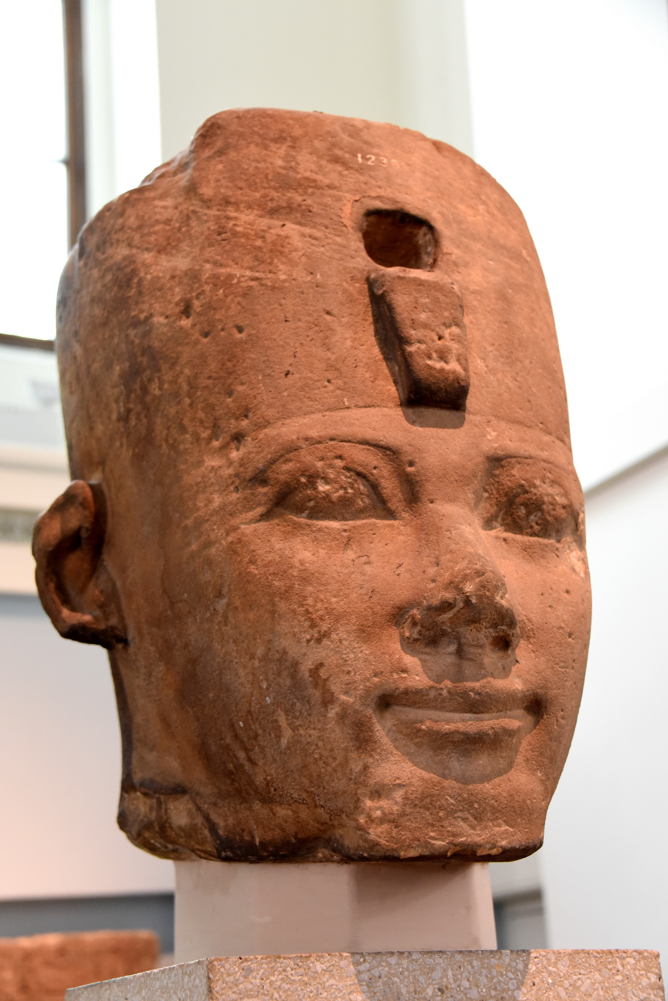 Head of King Thutmose I (Illustration) - World History Encyclopedia