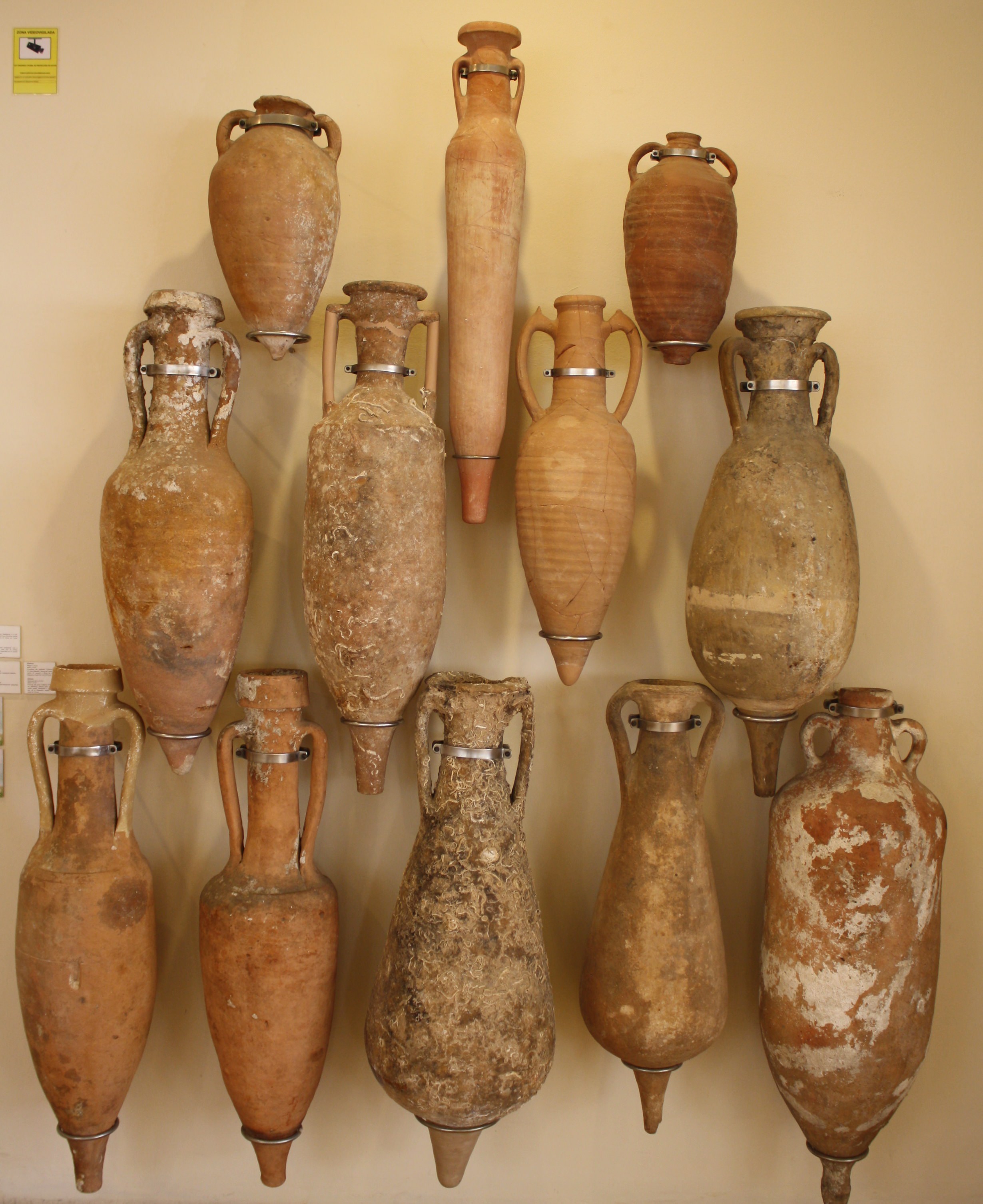 Roman Amphora Types at Ann Burkett blog