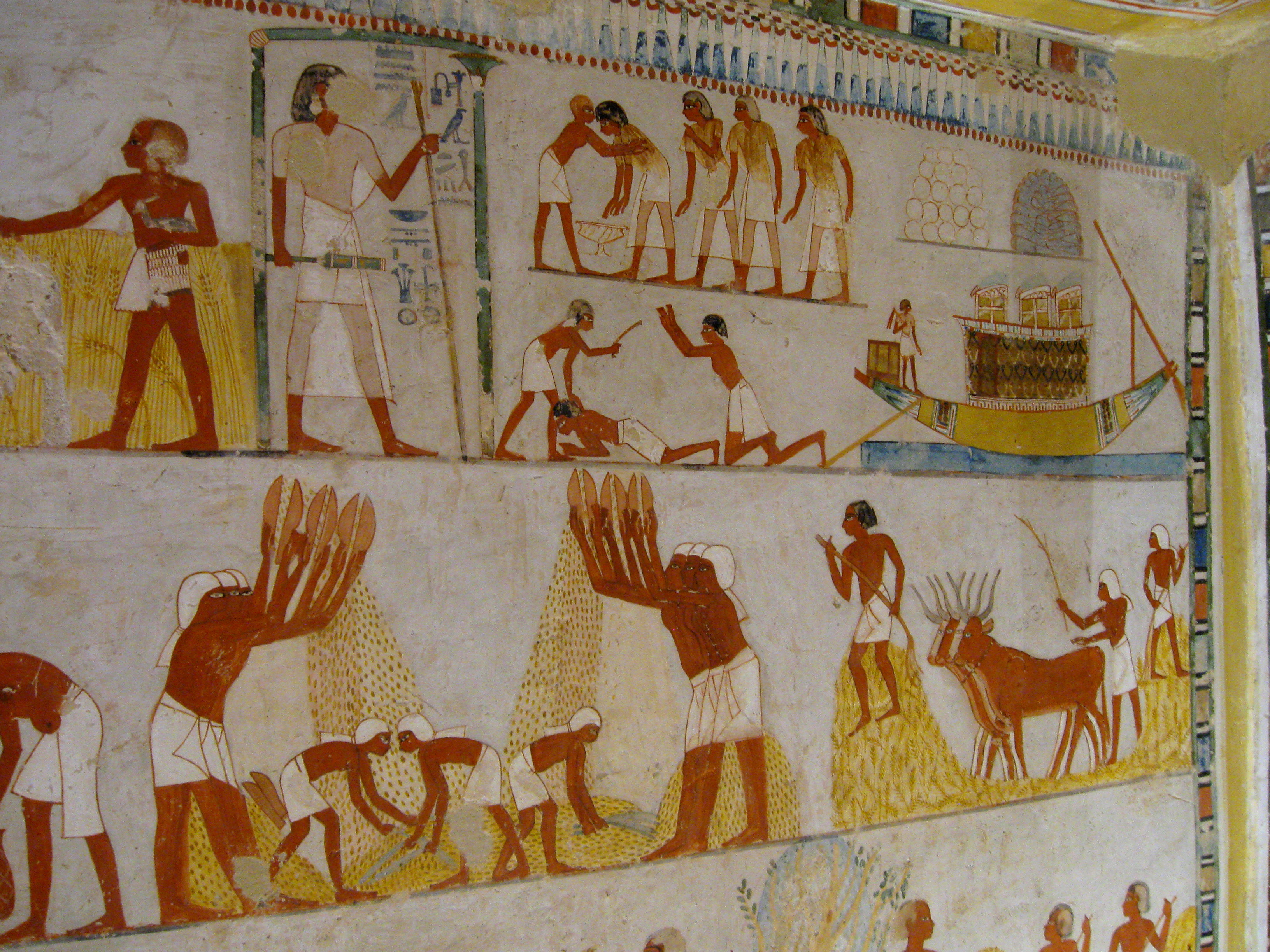 Древний рим это египет. Общество древнего Египта. Культура Египта. Культура древнего Египта. Органы в древнем Египте.