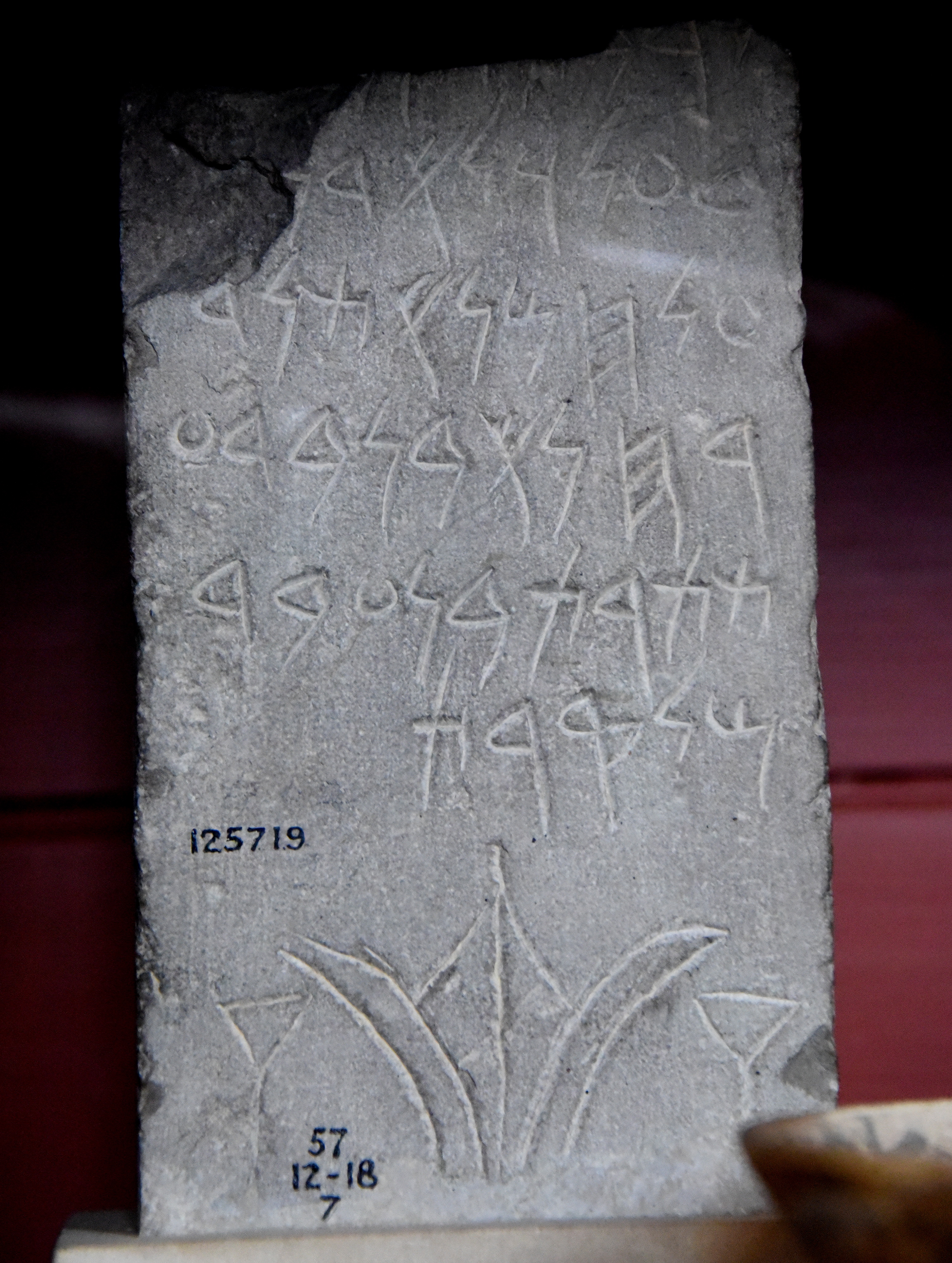 Phoenician Stela Dedicated to Tanit & Baal-Hammon (Illustration ...