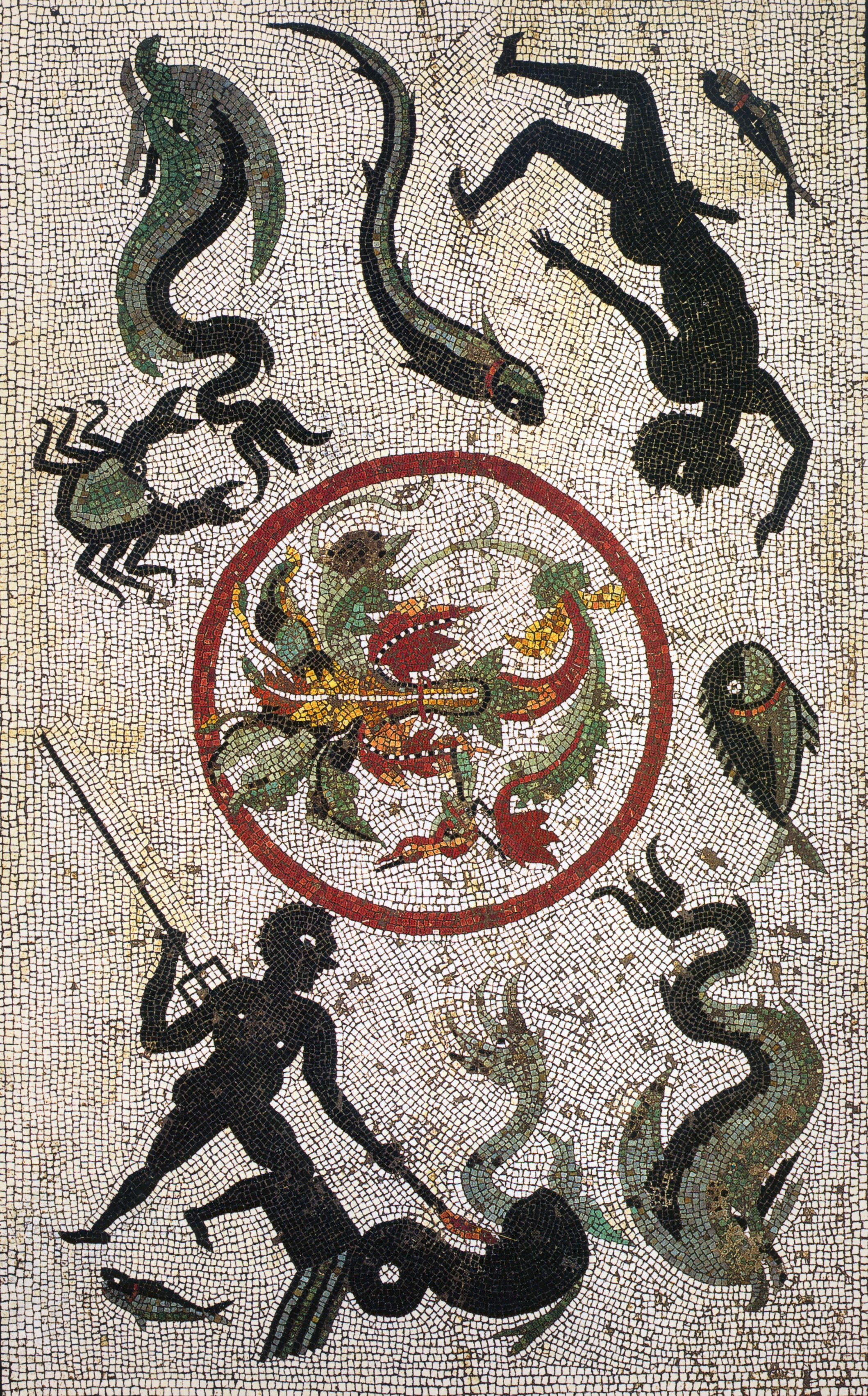 Italy Pompeii Fish Mosaic unposted 