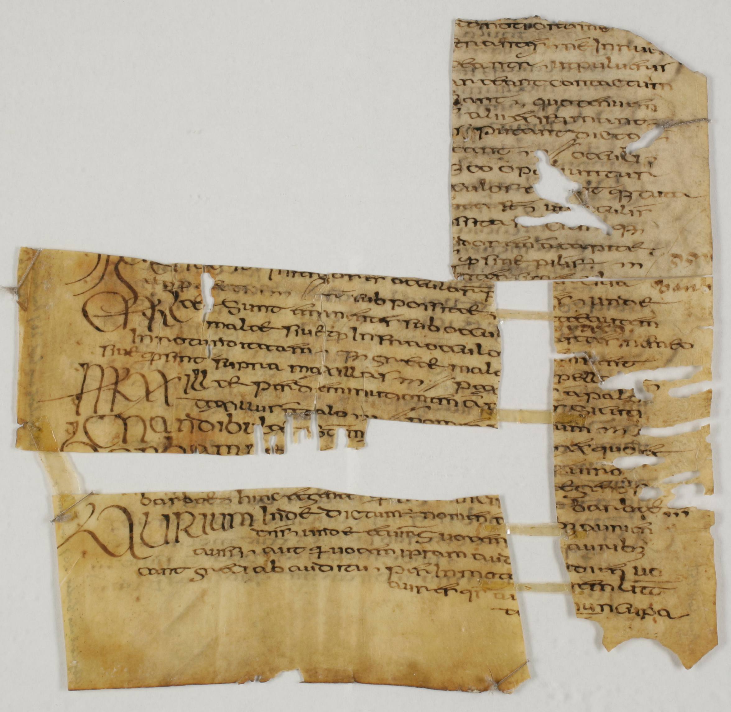 Irish Scripta Irish Manuscript Fragment - World History Encyclopedia