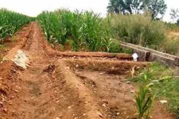 Irrigation in Mesopotamia