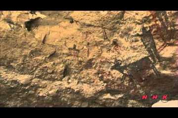 Rock Paintings of the Sierra de San Francisco (UNESCO/NHK)