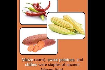Everything You Need to Know About the Ancient Maya Food Culture