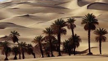 Sahara Desert Documentary HD - Africa's trade routes with Caravans of Gold