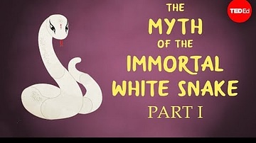 The Chinese Myth of the Immortal White Snake (Part 1)