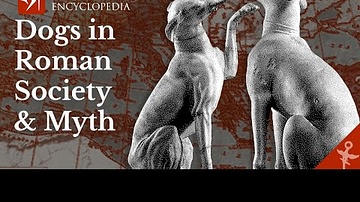 History of Dogs in Ancient Roman Society and Mythology