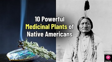 10 Powerful Medicinal Plants of Native Americans: Ancient Wisdom for Modern Health | Blissed Zone