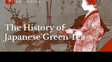 The History of Japanese Green Tea