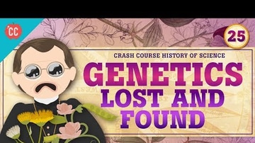 Genetics - Lost and Found: Crash Course History of Science #25