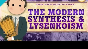 Genetics and The Modern Synthesis: Crash Course History of Science #35