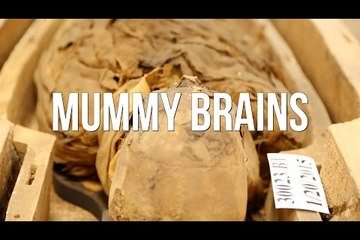 Mummy Brains