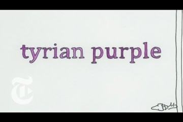 Tyrian Purple Dye: Ancients Used Marine Snails to Make It